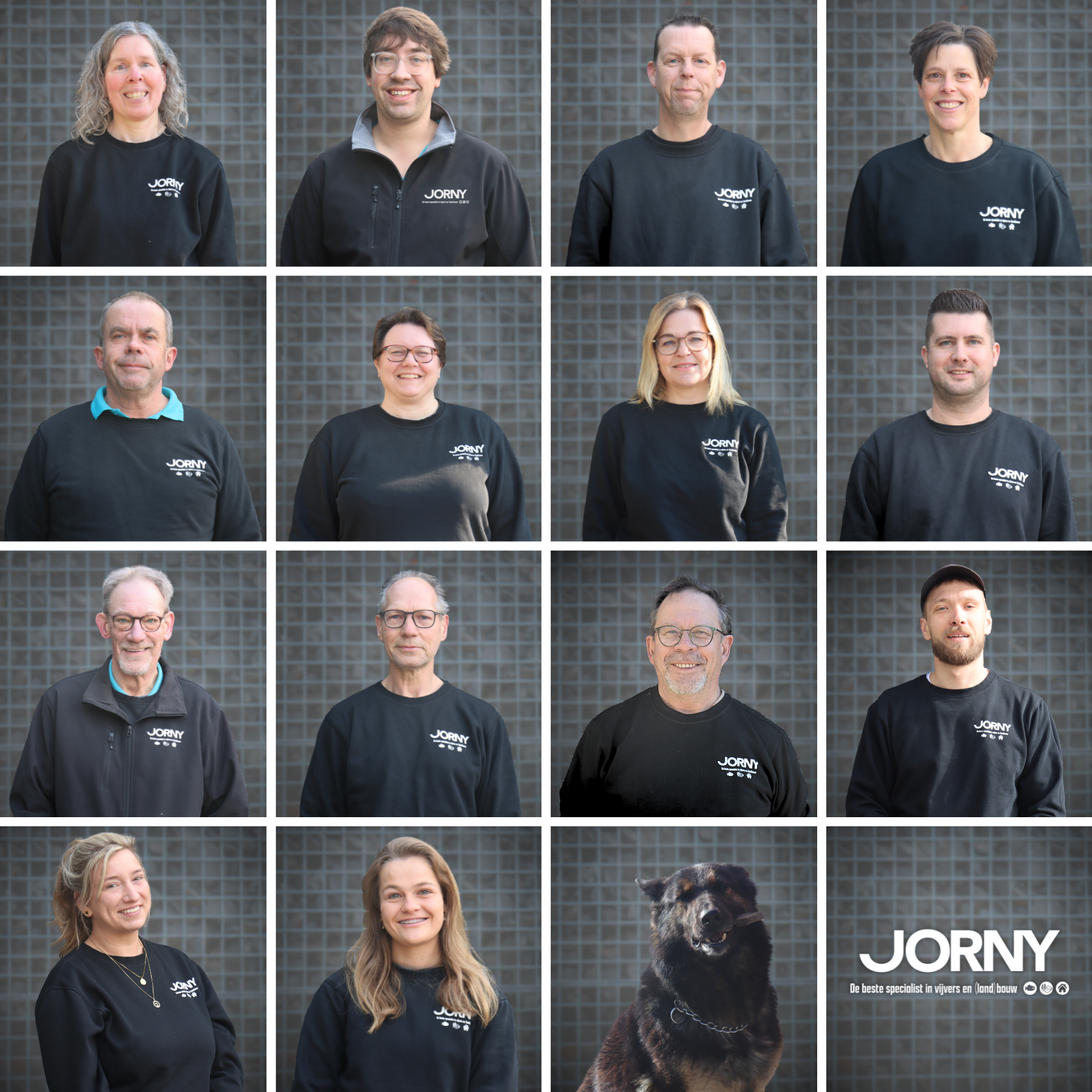 Team Jorny Products