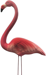 Superfish Flamingo S