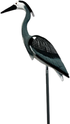 Superfish Reiger S