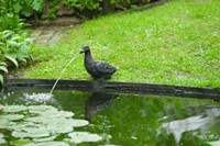 Ubbink Spuitfiguur Eend-2