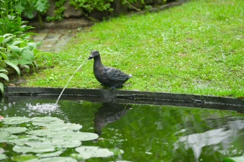 Ubbink Spuitfiguur Eend-2