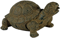 Ubbink Spuitfiguur Schildpad