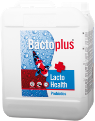Bactoplus Lacto Health 5,0 Liter 