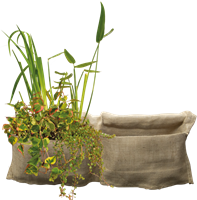 SF Marginal Plant Bag
