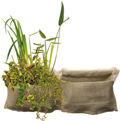 SF Marginal Plant Bag