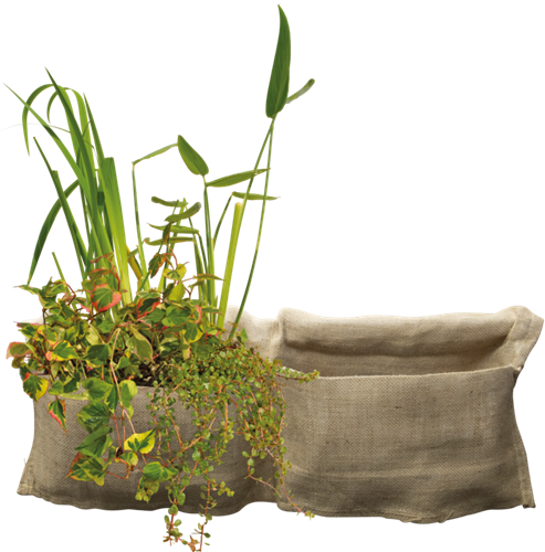 SF Marginal Plant Bag