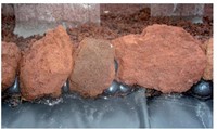 Superfish Landscaping Foam-3