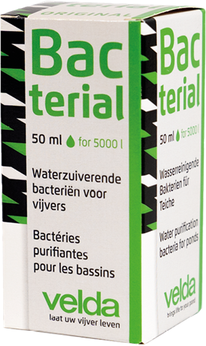 Velda Bacterial - 50 ml