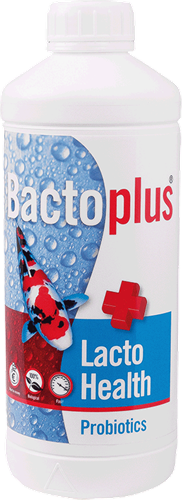 Bactoplus Lacto Health 1 Liter 
