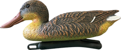 Superfish Slobeend