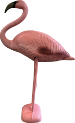 Superfish Flamingo