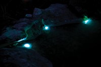 Pontec PondoStar LED RGBW Set 3 -2