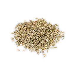 Graszaden
