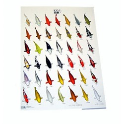 Koiposter Nr.2 Gelamineerd - 68 x 90 cm