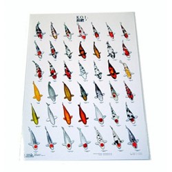 Koiposter Nr.3 Gelamineerd - 68 x 90 cm