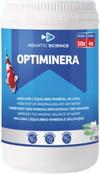 Ichi Pond Optiminera 10000