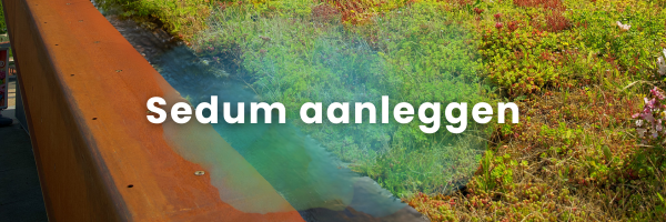 Groendak aanleggen