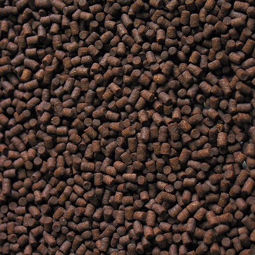 Sera Steurvoer Perlets | Sera Steurvoer - medium-2