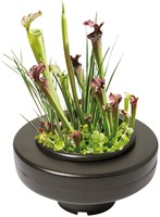 Floating Plant Basket rond 30 cm