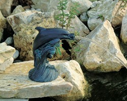 Beelden en kunststof dierfiguren