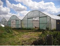 Tunnelfolie EVA AC 0,18 mm - 10 meter breed x per m2