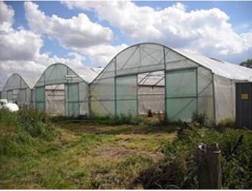 Tunnelfolie EVA AC 0,18 mm - 10 meter breed x per m2