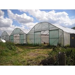 Tuinbouw