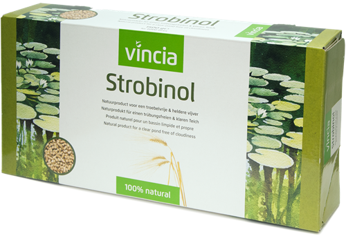 Vincia Strobinol