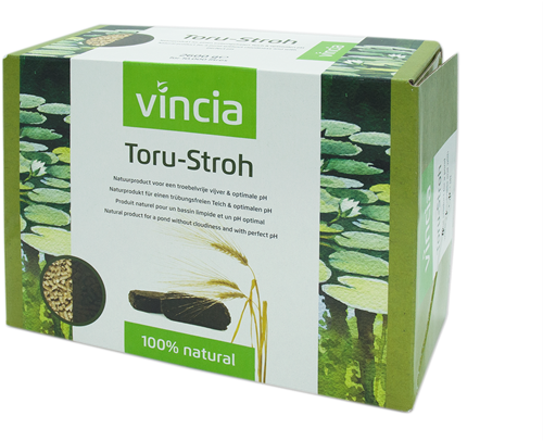 Vincia Toru-Stroh