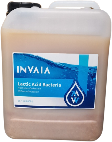 Vivani Melkzuurbacteriën